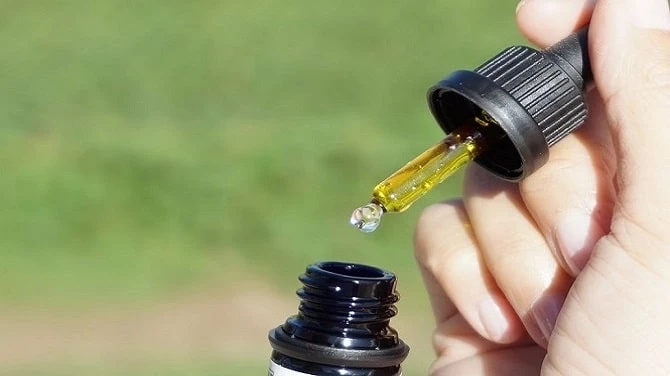 Exploring the Health Benefits of Medical Cannabis: Understanding Its Medical Applications