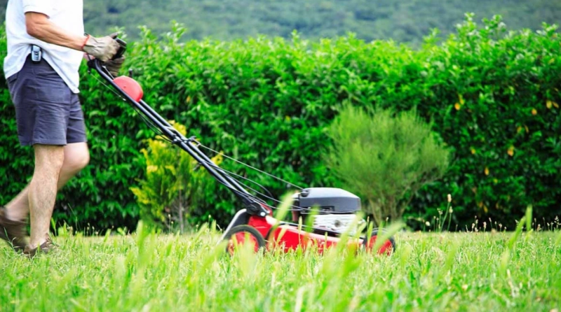 Which Is the Best Lawn Mower Type for Lawn Cutting?