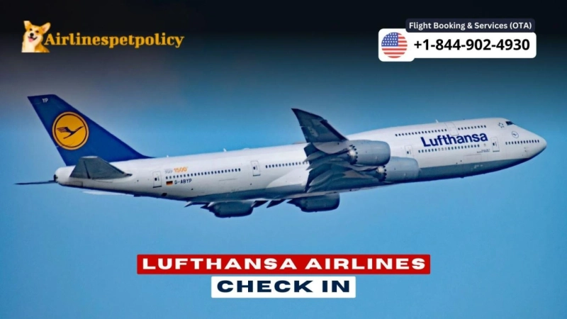 Lufthansa Airlines Check In | Online, Web, Mobile App & Policy