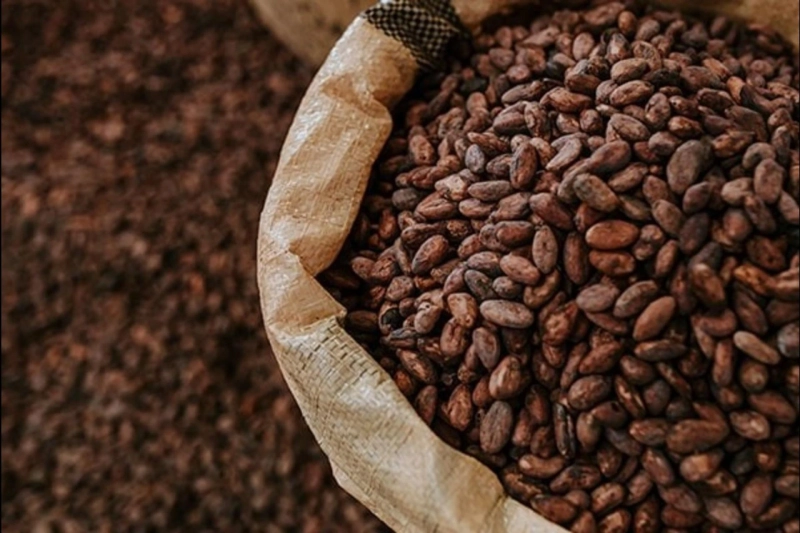 Botanica cocoa: Get Exceptional Religious Candles and other Goods and Services