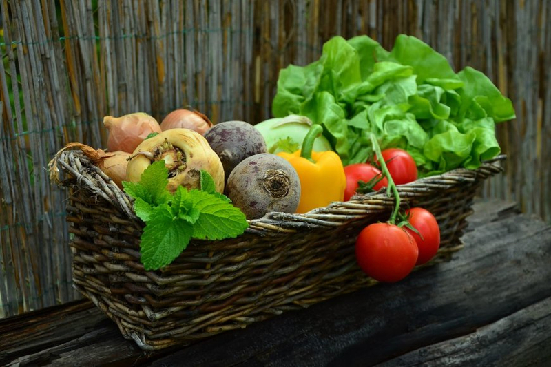 Growing Your Own Fruits and Vegetables for Health and Happiness