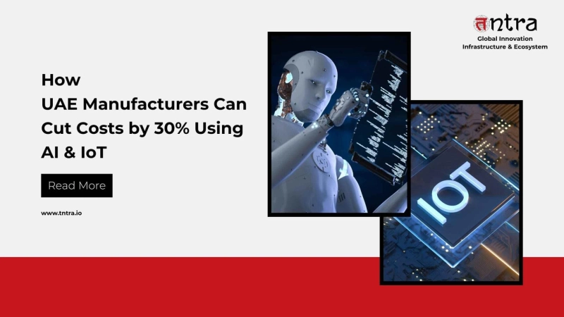 How UAE Manufacturers Can Cut Costs by 30% Using AI & IoT