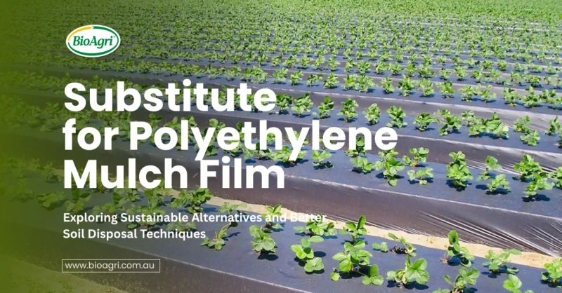 How to Find a Substitute for Polyethylene Mulch Film and Improve Soil Disposal Methods