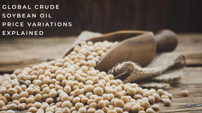 Global Crude Soybean Oil Price Variations Explained