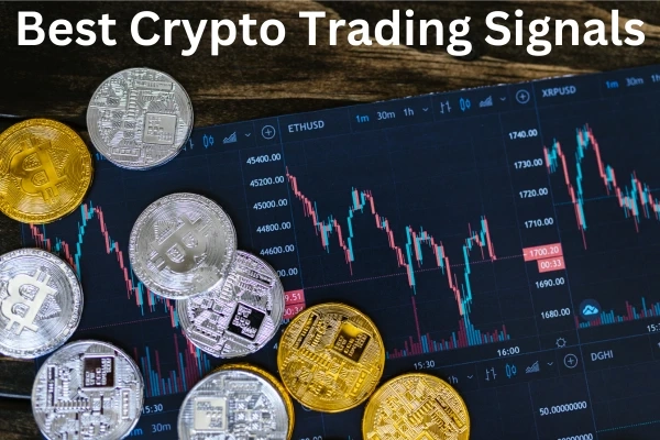 Everything You Need to Know About Best Crypto Trading Signals