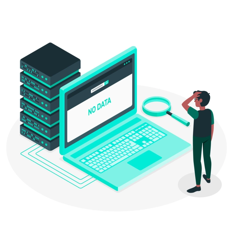 What Are Data Collection Services and How Do They Work? 