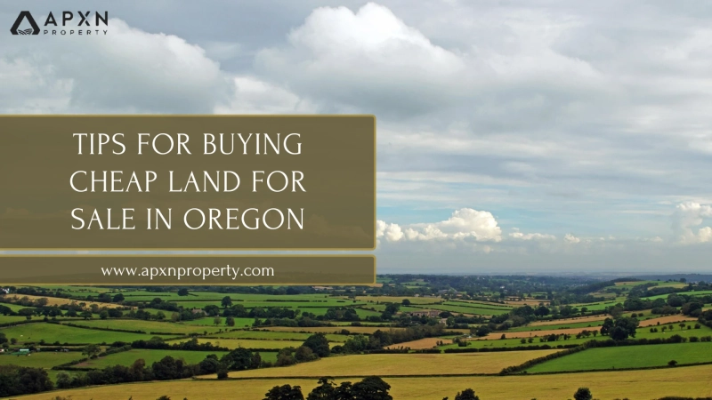 Tips for Buying Cheap Land for Sale in Oregon