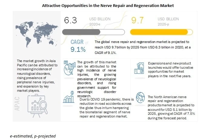 Nerve Repair and Regeneration Market worth $9.7 billion by 2025 - Exclusive Report by MarketsandMarkets™