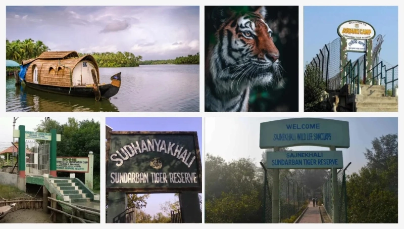 Explore Sundarbans itinerary