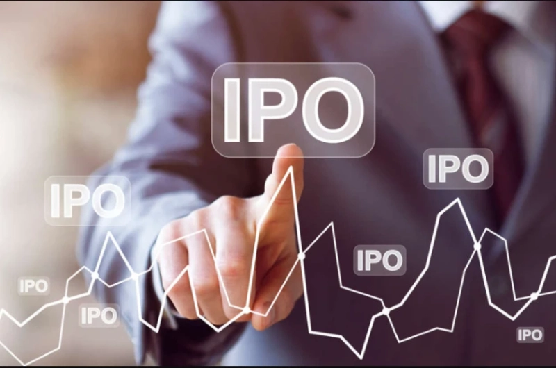 What all to Expect from Your IPO Consultant?