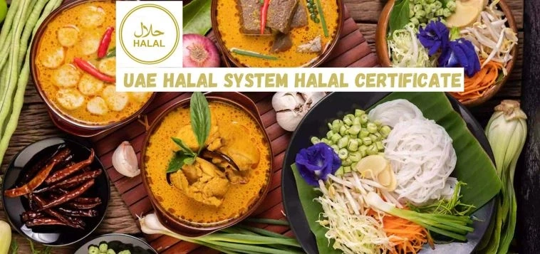 How To Check HALAL products In UAE By Getting HALAL Certification In UAE