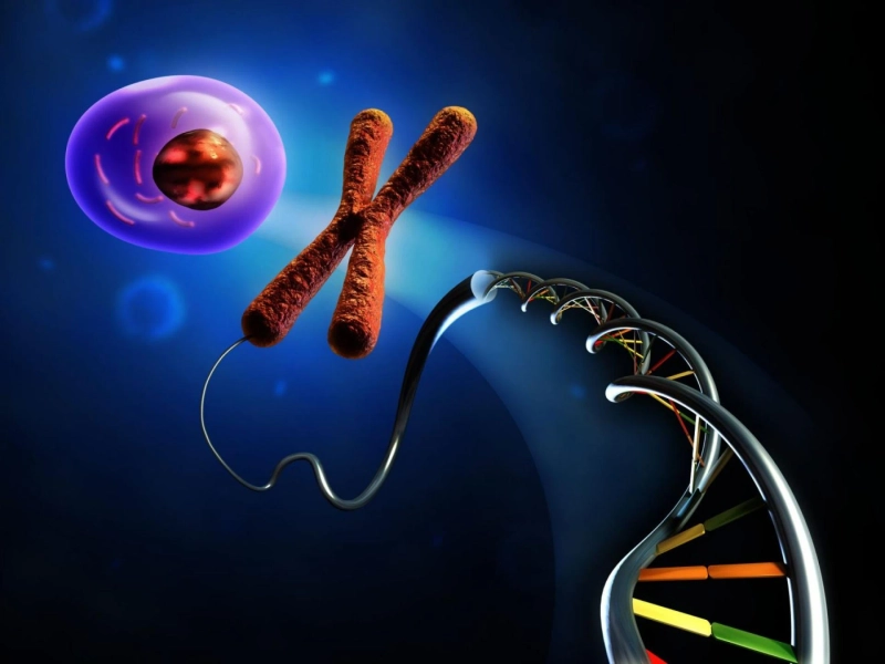 Recombinant DNA Technology Has Introduced New Class Of Organism Namely Genetically Modified Organism