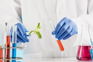 Clinical Trial Management Systems Market Trends and Forecast