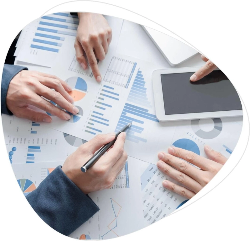 website development company in Udaipur