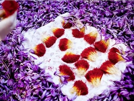 Guide To Know About High-Quality Saffron