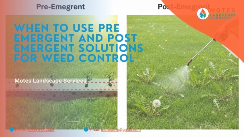 When to Use Pre Emergent and Post Emergent Solutions for Weed Control
