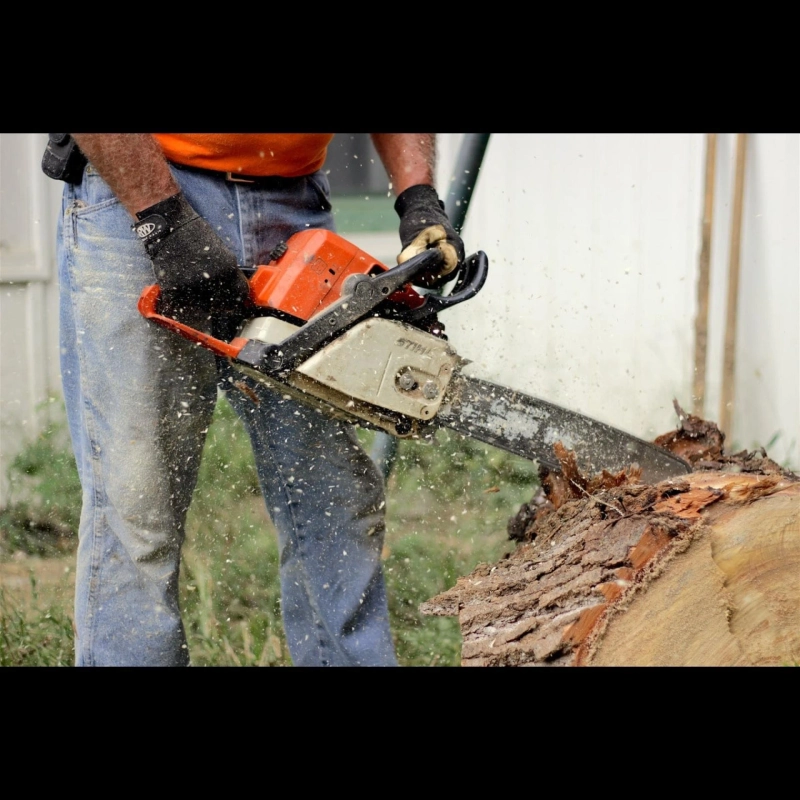 Specs and features of the top chainsaw brands