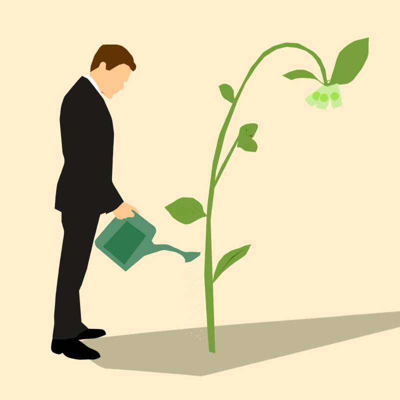 The Best Investment Strategies For Beginners