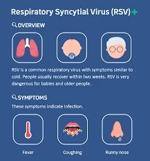 RSV: A Hidden Danger for Seniors and How to Fight It