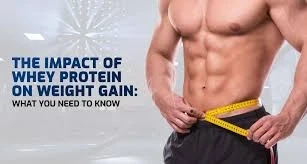 Whey Protein Benefits: Build Muscle, Lose Fat & Boost Recovery with Elite Protein