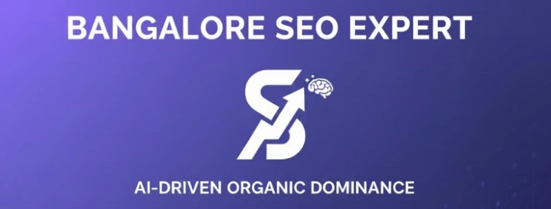How a Professional SEO Freelancer in Bangalore Boosts Online Visibility | Suryaseo.in