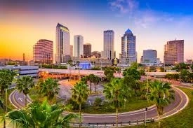 Professional Commercial Property Management Clearwater FL