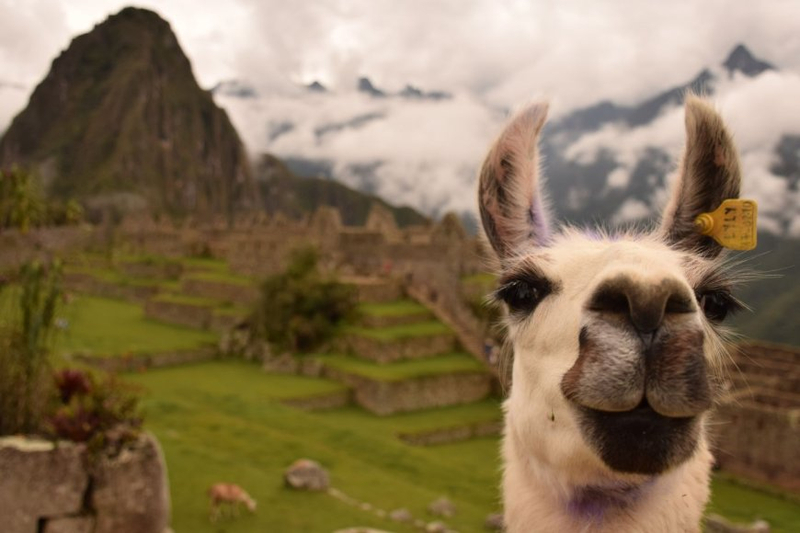 Unveiling the Majesty of the Andes: Exploring the Diverse Routes of Salkantay Trekking