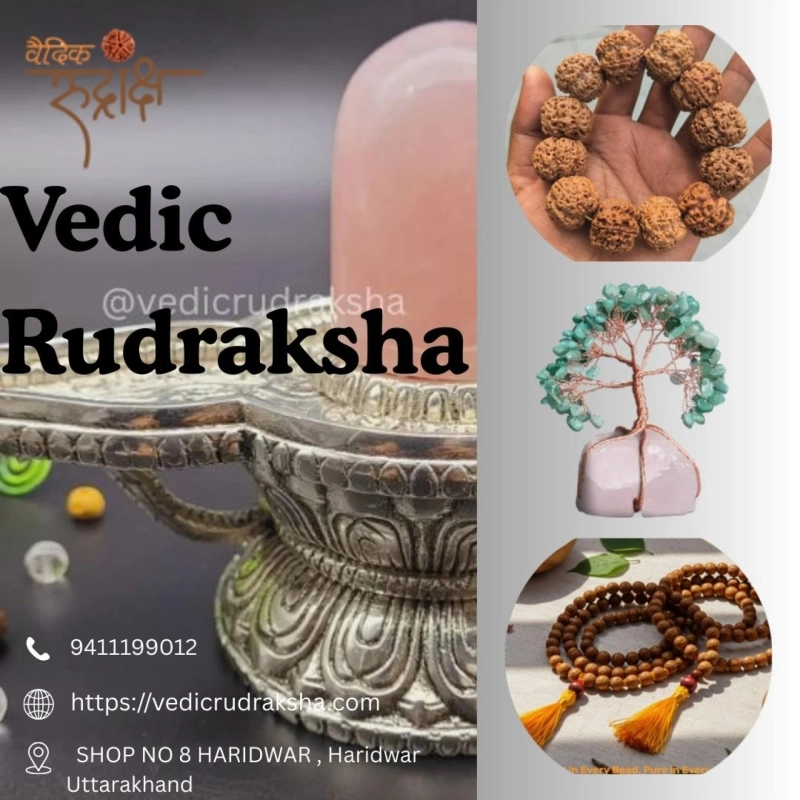 Nepali Rudraksha Buy Online Authentic Mala Necklace & Sale Guide