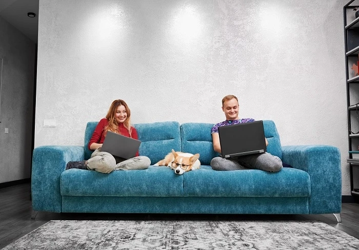 How To Keep Your Sofa Long-Lasting From Pets?