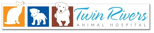 The Most Attentive Veterinary Care In Kamloops