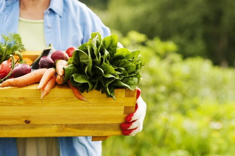 World’s Popular Health Myths and the Truth Behind them