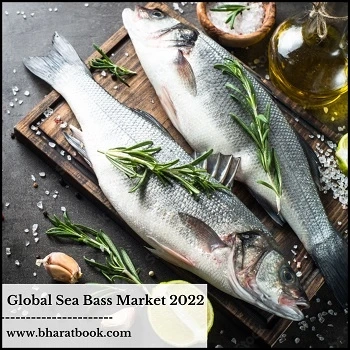 Global Sea Bass Market, Forecast 2022-2028