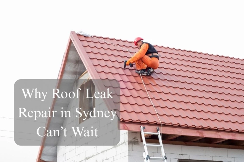 Why Roof Leak Repair in Sydney Can’t Wait