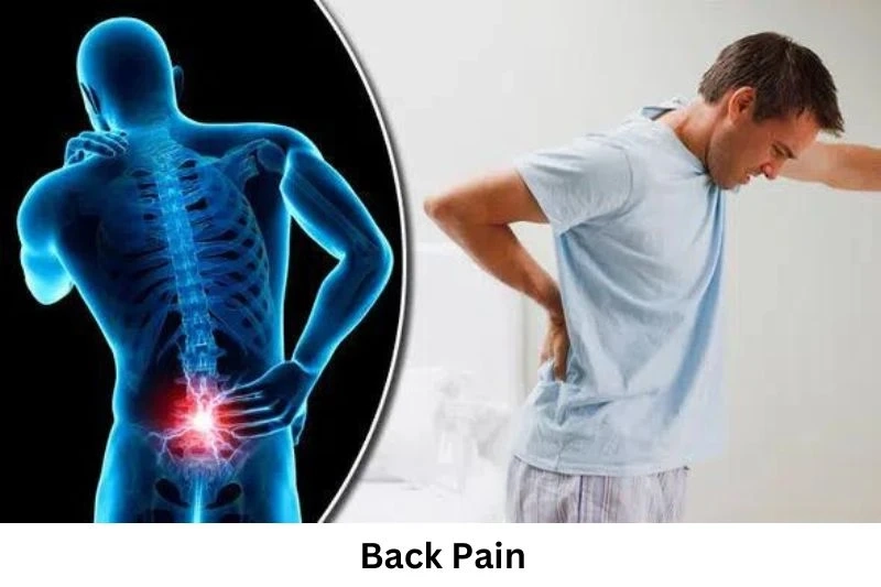 How Do I Stop Back Pain From An Office Job?