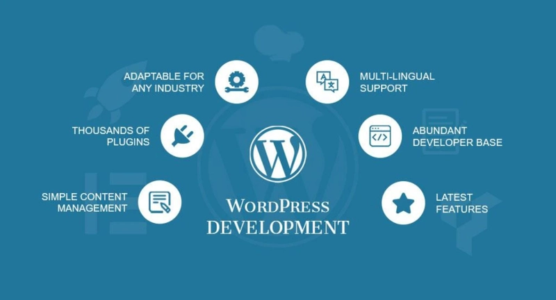 Selecting guide of Wordpress development company