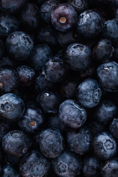 Key Nutrients To Help Support A Healthy Immune System
