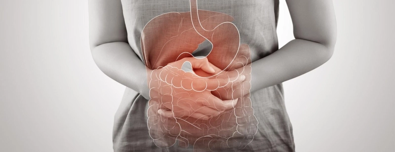 Are you sick and unable to conceive? Relationship between intestinal health and infertility