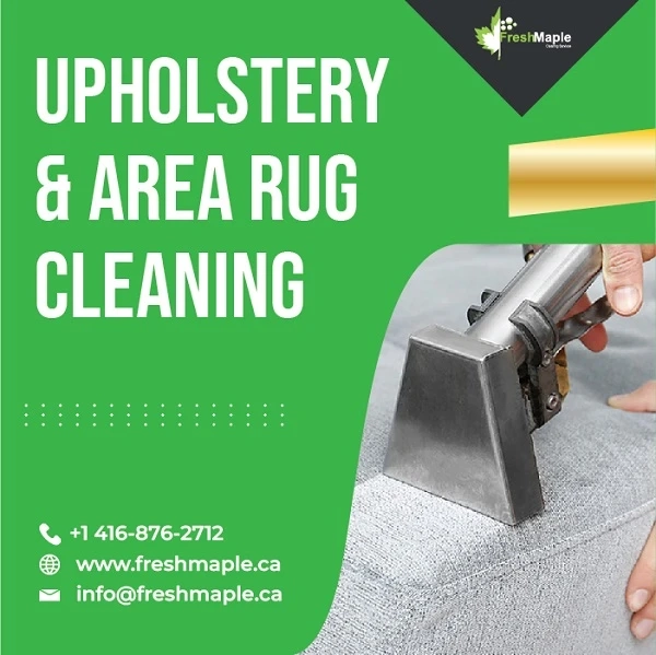 Let Us Start A New Life After Upholstery & Area Rug Cleaning