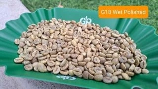 By Premium quality of Robusta wet polished and Arabica washed PB