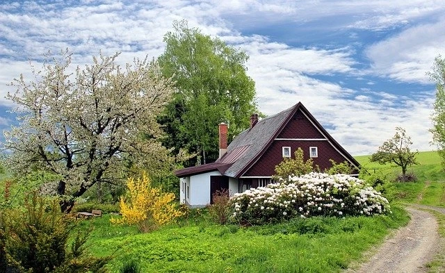 Ways to Improve Your Outdoor Decor