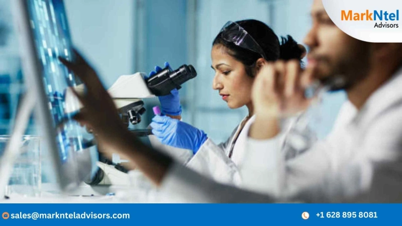 Increasing Global Demand for the Viral Clearance Testing Market | Key Factors, Major Segments, and Geographical Insights