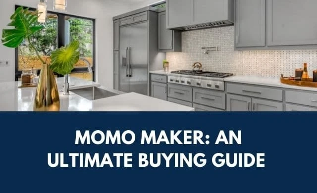 Momo Maker: An Ultimate Buying Guide