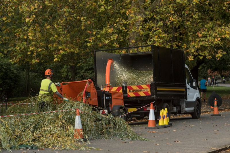 Tree Surgeons in Hertfordshire North London
