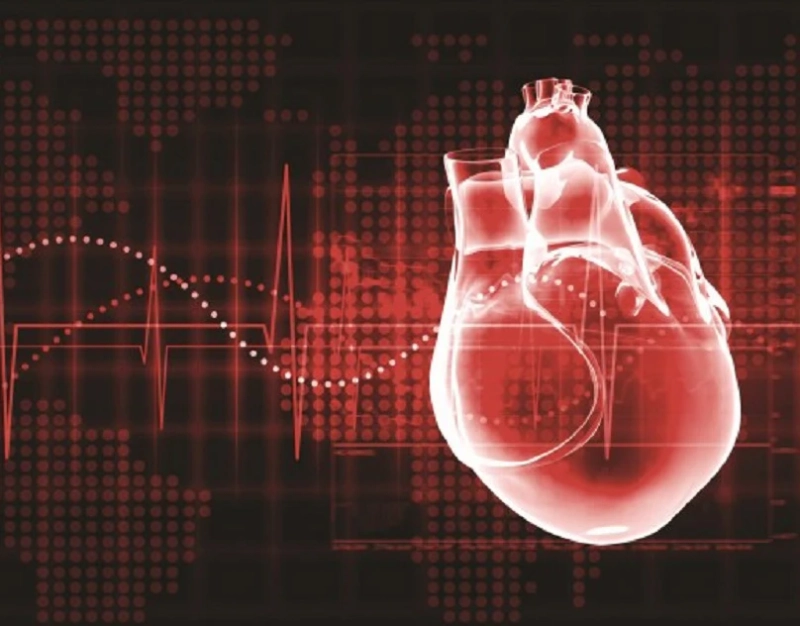 As chronic diseases and technological advancements increase, the Cardiac Rhythm Management Devices Market is expected to increase.