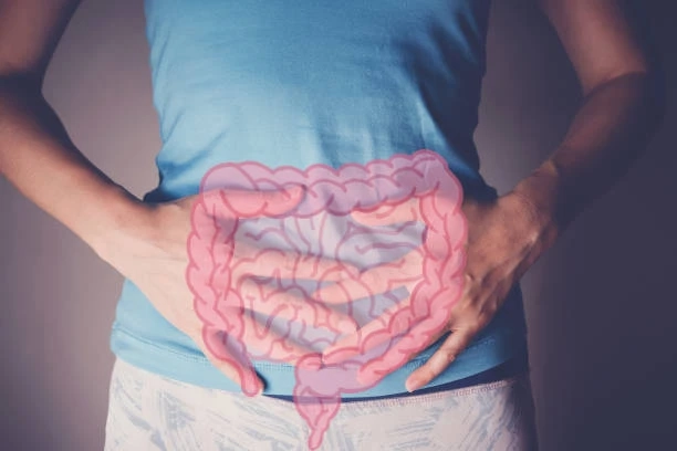 Finding the Connection Between Gastrointestinal and Liver Health