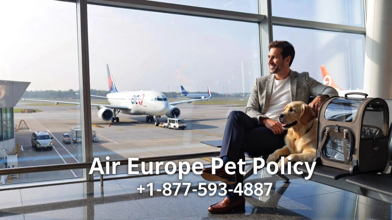 Air Europa Pet Policy: Complete Guide for Traveling with Pets in Europe and Beyond