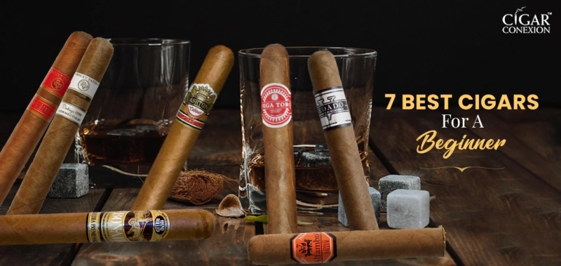 7 Best Cigars for Beginners