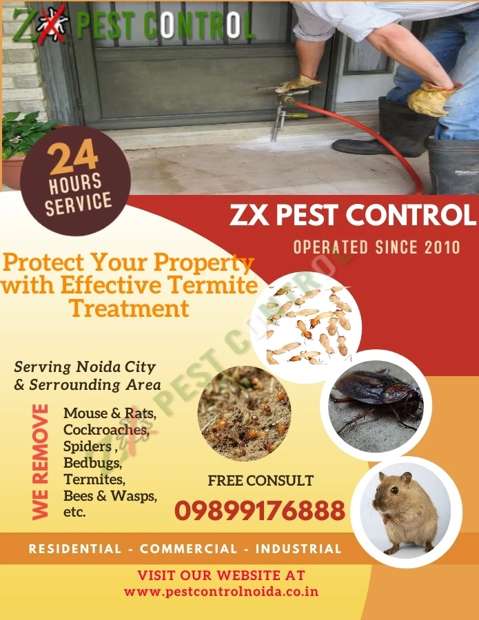 How To Protect Your Industrial Property With Effective Termite Treatment