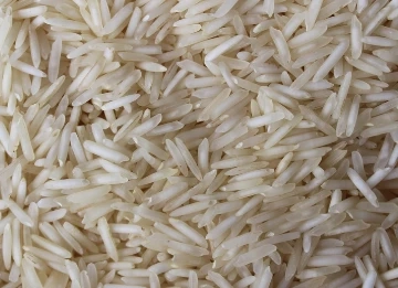 Rice Traders in India: Connecting Farms to International Markets