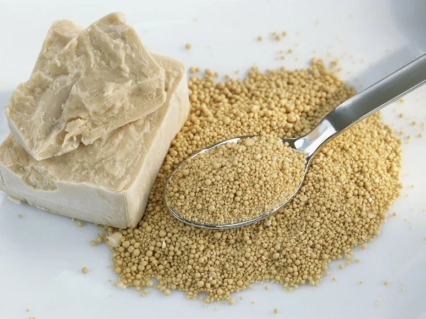 Global Yeast Market Size is Expected to reach USD 8.05 Billion by 2028 at a CAGR of 9.5%